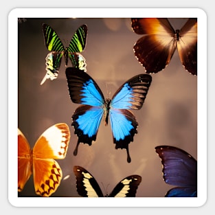 Colorful Butterflies Sticker